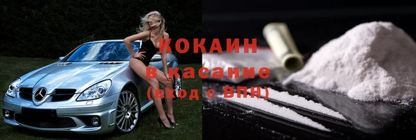гидра Арсеньев