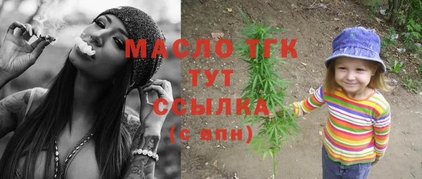 гидра Арсеньев
